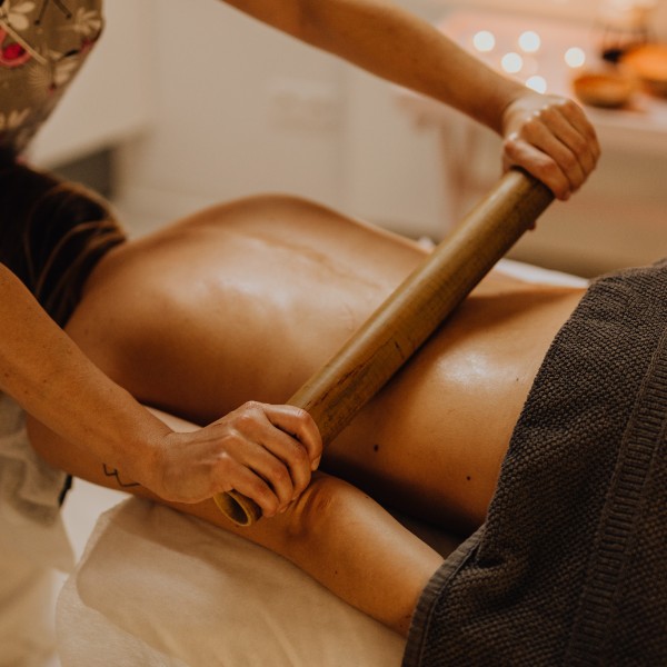 Workshop de Lipomodelagem e Bambuterapia Lipomodelagem e Bambuterapia